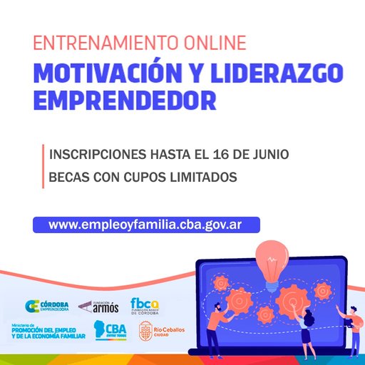 Entrenamiento online "Motivación y Liderazgo Emprendedor"